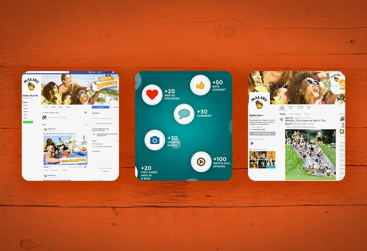 Campaign overview and engagement model