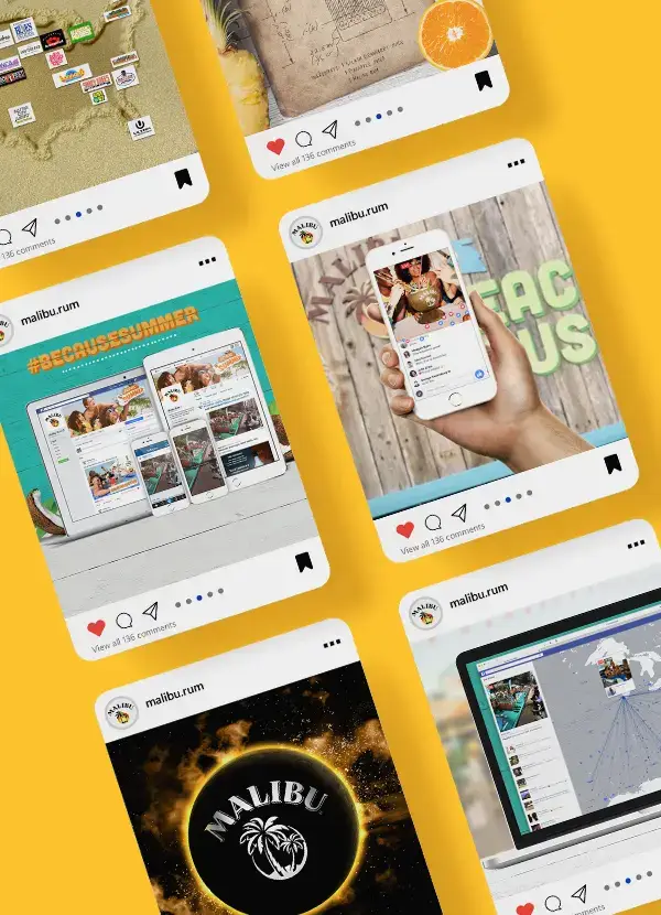 Malibu social campaign examples